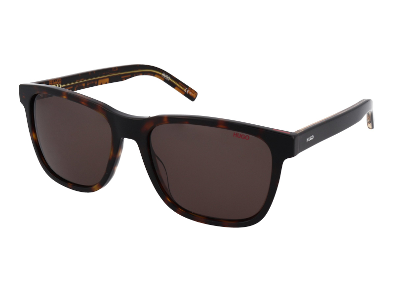 Hugo Boss HG 1073/S TBB/70