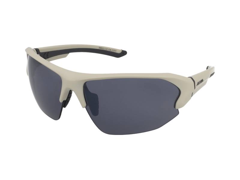 Sports Ochelari de vedere ,Ochelari de soare Alpina Lyron HR Cool Grey Matt